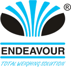 Endeavour Instrument Private Limited logo