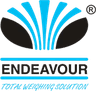 Endeavour Instrument Private Limited logo